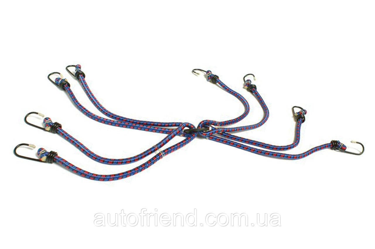 Мотузка еластична AMiO з кріпленнями (крюк) павук 8-плечові 60см, 01146, фото 1