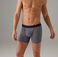 Труси чоловічі боксери Doreanse принт Stripes