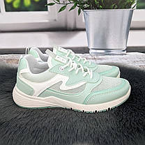 Кросівки жіночі Paolla м'ятні еко-шкіра з сіткою 4864, фото 4