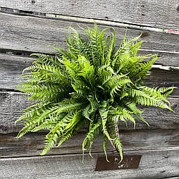 Штучний кущ папороті 49 см