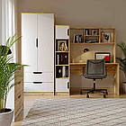 Комплект меблів Тінейджер: письмовий стіл, шафа, меблі в спальну кімнату, фото 2