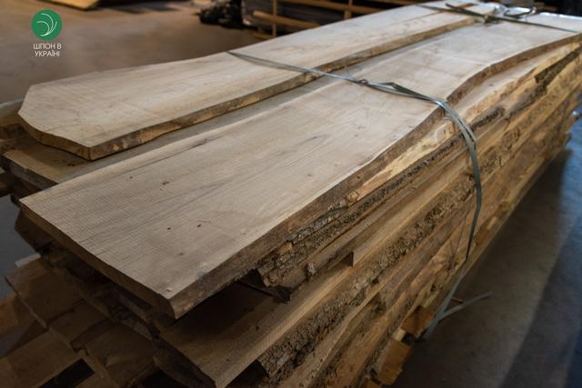 дошка берест (в'яз)