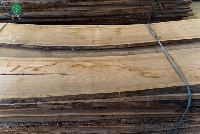 дошка берест ціна за куб
