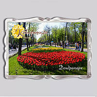 Акриловий магніт з друком "Дендропарк, Кропивницький, Kropyvnytskyi" №2 92x65 (16043)