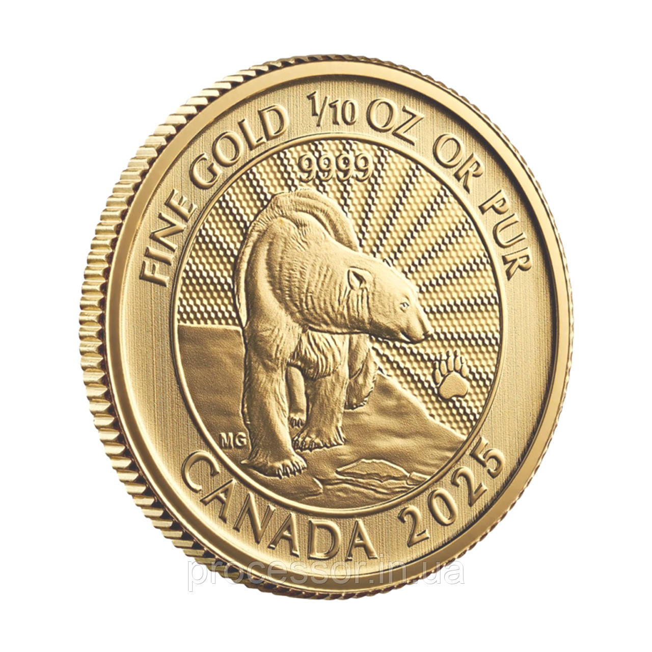 Золота монета "$5 The Majestic Polar Bear 2025" (Канада, 1/10 oz), фото 1