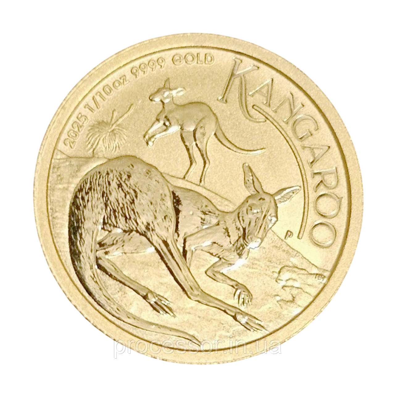 Золота монета «Стрибок майбутнього — $15 Кенгуру 2025» (1/10 oz, Австралія), фото 1