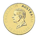 Золота монета «Стрибок майбутнього — $15 Кенгуру 2025» (1/10 oz, Австралія), фото 2