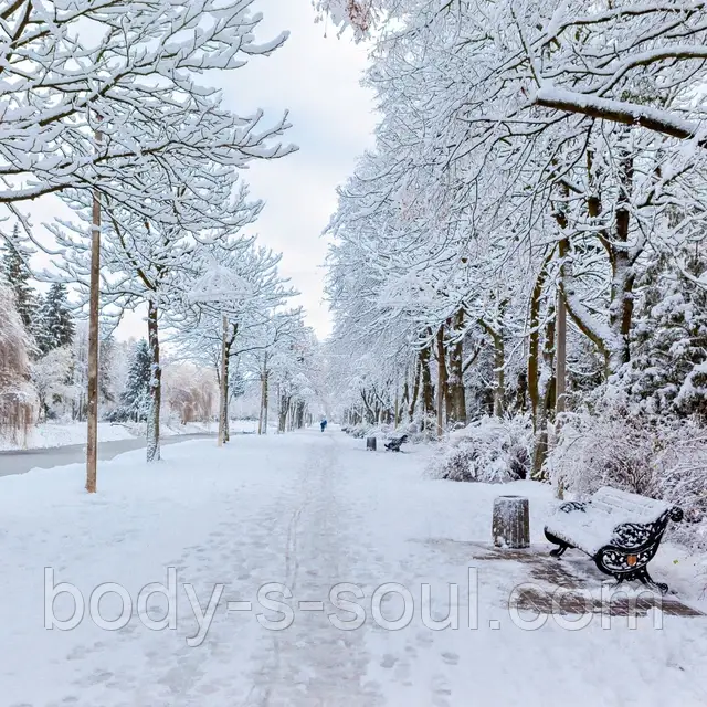 Winter Garden №109, косметична віддушка для мила, свічок, косметики ручної роботи, США, ваніль 0 %