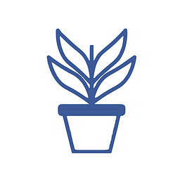 Сад і город