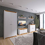 Тумба ТВ Нордік 980 Еверест Білий, Дуб крафт золотий (98х38х53 см), фото 6