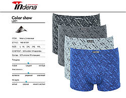 Чоловічі стрейчеві боксери хб тм "Индена"