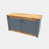 Тумба ТВ Нордік 980 Еверест Графіт, Дуб крафт золотий (98х38х53 см), фото 3