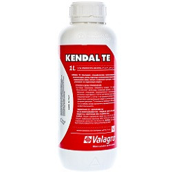 Біостимулятор Кендал ТЕ Kendal ТЕ 1 л Valagro Валагро Італія, фото 1