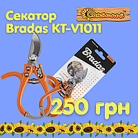 Секатор обвідний BRADAS V-Series-D KT-V1011