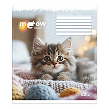 Зошит 12 листов клітка "Brisk Gold" / Улюблені котики, фото 5