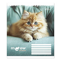 Зошит 12 листов клітка "Brisk Gold" / Улюблені котики, фото 4