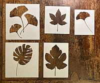 Трафареты для стен под покраску с изображениями растений, 5 трафаретов