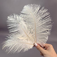 5 шт - Пір'я страуса для рукоділля 13-18 см - білий теплий