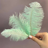 5 шт - Пір'я страуса для рукоділля 13-18 см - м'ятний