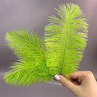 5 шт - Пір'я страуса для рукоділля 13-18 см - салатовий