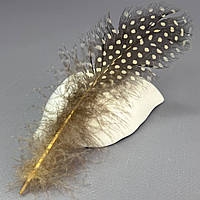 Пір'я курячі для рукоділля  5-10 см, ∼50шт - бежевий