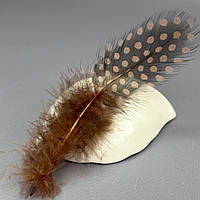 Пір'я курячі для рукоділля  5-10 см, ∼50шт - коричневий