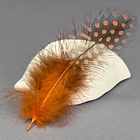 Пір'я курячі для рукоділля  5-10 см, ∼50шт - помаранчевий