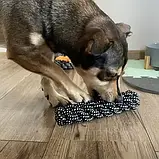 Великий набір іграшок для собак (10 шт) – мотузки, прорізувачі, інтерактивні м’ячі | Для активної гри Purlov 24388, фото 7