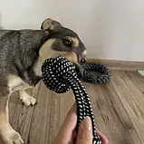 Великий набір іграшок для собак (10 шт) – мотузки, прорізувачі, інтерактивні м’ячі | Для активної гри Purlov 24388, фото 8