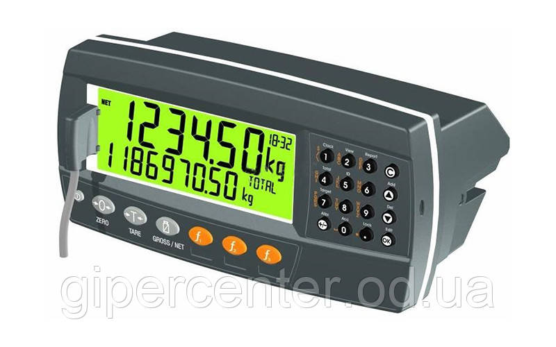 Весовой индикатор Rinstrum R420-k402 (пластик ABS/щитовое (панельное) исполнения) - фото 1 - id-p472083130