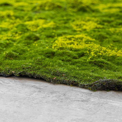 Декоративна панель зі штучного моху 100х100х1 см 9224-014, фото 1