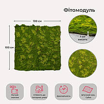 Декоративна панель зі штучного моху 100х100х1 см 9224-014, фото 2
