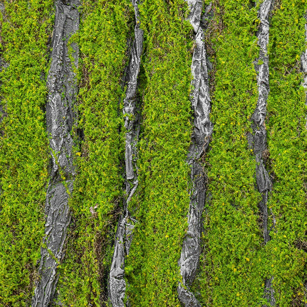 Декоративна панель зі штучного моху 100х100х2 см 9224-012