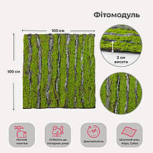 Декоративна панель зі штучного моху 100х100х2 см 9224-012, фото 2