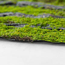 Декоративна панель зі штучного моху 100х100х2 см 9224-012, фото 4