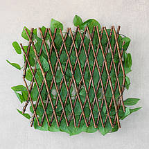 Декоративна панель зі штучної зелені та лози Фікус 36х120х3 см 2017-006, фото 2