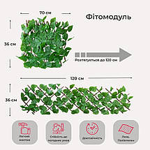 Декоративна панель зі штучної зелені та лози Фікус 36х120х3 см 2017-006, фото 4