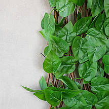 Декоративна панель зі штучної зелені та лози Фікус 36х120х3 см 2017-006, фото 5