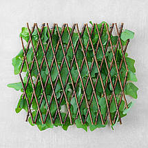 Декоративна панель зі штучної зелені та лози Плющ 37,5х120х3 см 2017-005, фото 3