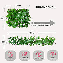 Декоративна панель зі штучної зелені та лози Плющ 37,5х120х3 см 2017-005, фото 4