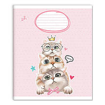 Зошит 12 КОСА лінія "Бріск" / Маленькі історії, фото 2