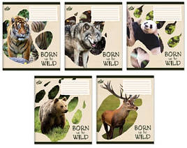 Зошит 24 арк. клітинка "Бриск/ Сліди тварин