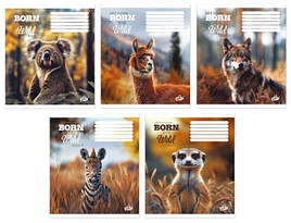 Зошит 48 арк. клітинка "Бріск"/ Бережи звірят