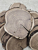 Спил маслини 11-12 см товщиною 13-17 мм