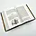 Хроніки Нарнії. Повна історія чарівного світу — Клайв Стейплз Льюїс | Клуб Сімейного Дозвілля, книга українською, нова, тверда, фото 3