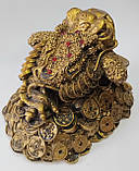 Трилапа Жаба богатства з золотим зливком, фото 2