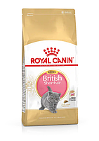 Royal Canin British Shorthair Kitten (Роял Канін Кіттен британська короткошерста) сухий корм для кошенят