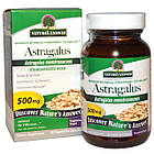 Астрагал (Astragalus) 500 мг