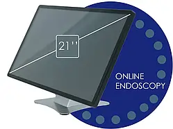 Ендоскопічний термінал LAPOMED ET-4 (LPM-2004)