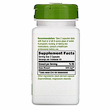 Хміль квіти (Hops flowers) 620 мг, фото 2